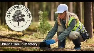 Plant a Tree in Memory for a Loved One