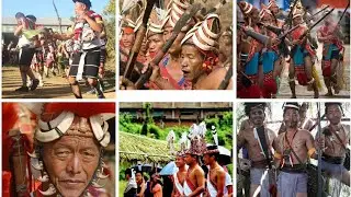 Population List of Naga tribes(2011 Census).