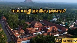 Padmanabhapuram Palace| പത്മനാഭപുരം കൊട്ടാരം | Biggest Wooden Palace in India| 4K HDR