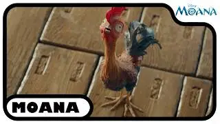 Careful, Heihei! | Moana @DisneyClubUK