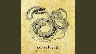 Theme for 'Snakes'