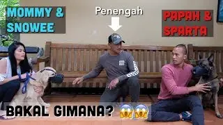 AKHIRNYA! SNOWEE & SPARTA BERTEMU LAGI! (VIDEO PALING DIREQUEST BANGET!!)
