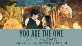 You Are The One - Liu Yuning (刘宇宁) A Beautiful Lie (你的谎言也动听) Ost Lyric