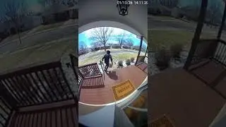 Doorcam: Porch Pirate's Rainbow Glitter Ambush Backfires Spectacularly 💥🎉✨ #InstantKarma