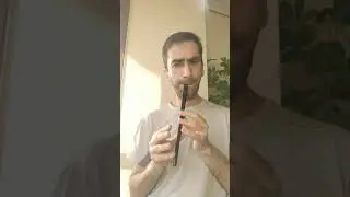 Bojji's theme (Ousama Ranking) - tin whistle cover