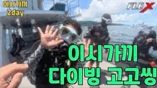 이시가끼 다이빙투어 2일차 3일차/#Course Director/#박사부 해외투어 여행기/#해외투어정보#박사부 일상/#vlog/#PADI/flexdivingcenter