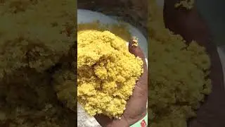 19 जनवरी 2026