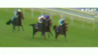 - إنيبل خليفة اورقيت للمالك السعودي الامير خالد بن عبدالله تسيطر على ميادين الخيل #السعودية_العظمى