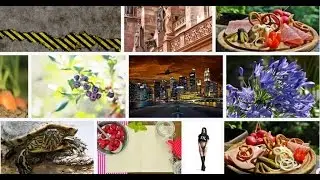 Access 1 Million+ FREE Royal Free Stock Photos & Vectors