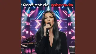 Pro&scaron;lost da zaboravim