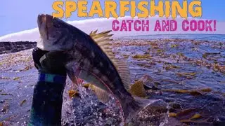 Spearfishing in So Cal {Catch Clean Cook Spider Crab and Calico Bass} #saltlife #spearfishing #ocean