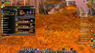 World of Wacraft  Haustierk&auml;mpfe Tutorial f&uuml;r Anf&auml;nger