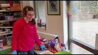 Dagbesteding gaat naar wonen... en ondertussen bij de Boerderij...