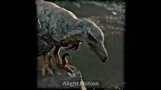 Velociraptor Edit #shorts #velociraptor #edit