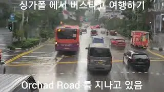 Singapore Bus Tour, Newton, Scott Road, Orchad Road go to Chinatown, 싱가폴 시내버스여행, 싱가폴 시내구경