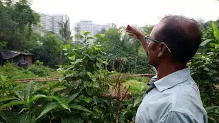Can India really go green?