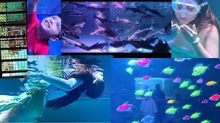 Русалка, которая родилась с яркой улыбкой 👌👌😎 — это последний кусочек кожи. кухонный видеоблог