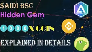$AIDI BSC | A New Hidden Gem | Explainer Video