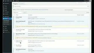 Wordpress remote plugin manager updates. Install multiple plugins from a remote servers.