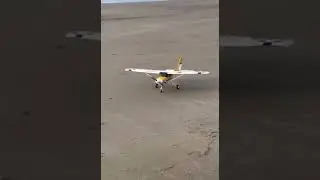 FMS ranger smooth landing on the beach #airplane #aviation #rcplane