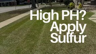Centipede Lawn Soil Test | How to Sample & Adjust pH