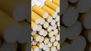 Tobacco factory tour #shorts #shortsvideo #tobacco