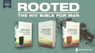 Rooted: The NIV Bible for Men