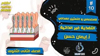 #10 | الامتصاص والتمثيل الغذائي - التغذية غير الذاتية | احياء تانيه ثانوى الترم الاول 2023