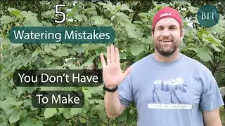 Surprising Watering Mistakes to Avoid for a Breathtaking Landscape