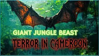 [UMA Series] Episode 6 : The Terrifying Giant Bat of Cameroon: The Olitiau