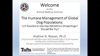 Animal Matters Seminar: The Humane Management of Global Dog Populations