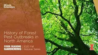 History of Forest Pest