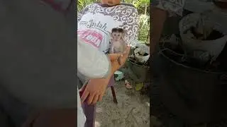 baby monkey learning to walk