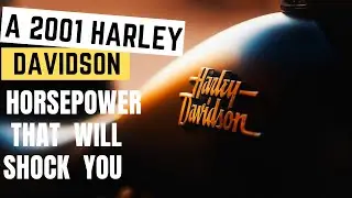 How much horsepower does a 2001 Harley Davidson Sportster 883 have