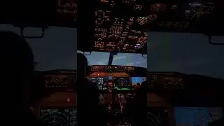 Boeing 737 MAX (Full Motion Sim) Terrain Escape Maneuver