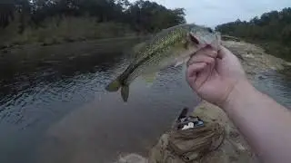 Bass fishing the Toledo bend spillway