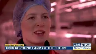 Underground farm could be a look into the future of food production