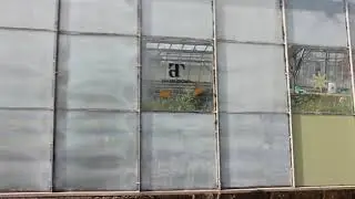 Greenhouse Shading with Thorndown Peelable Glass Paint