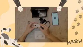 Cat Camera Collar Review (LuminiCam Cat Camera Collar)