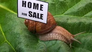 Quick sale | Sell your house fast for cash