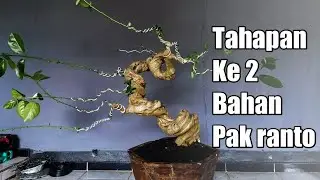 melakukan tahapan ke 2 bahan pak ranto.