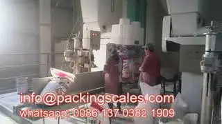 automatic fertilizer 25kg packing machine powder granules packaging equipment