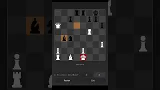 Playing chess against AI.