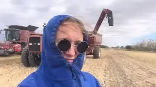 Real People Who Helped Feed the WORLD in 2025 [Alberta, Canada]