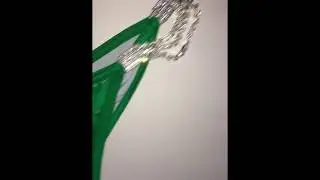 Green Custom Competition Bikini