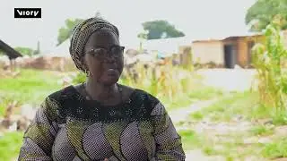 Nigeria Banks On 'Added Value' Domestic Refinement Of Shea Butter