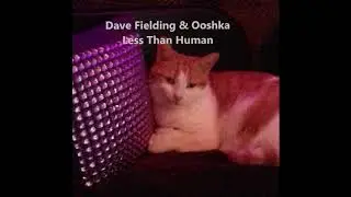 DAVE FIELDING - LESS THAN HUMAN