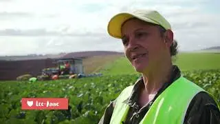 Tassie Harvest Jobs