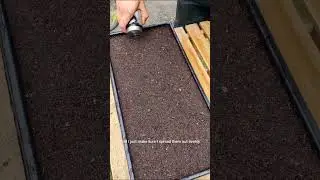 3/5 How to Grow,Harvest, Package #broccoli #microgreens using Eat Your Microgreens #1020 Tray Set