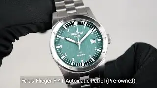 Самолет Fortis Flieger F-41 с автоматической коробкой передач и бензиновым двигателем (б/у)